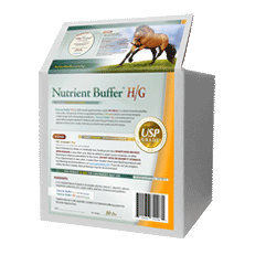 Nutrient Buffer H/G Hind Gut Ulcer Supplement